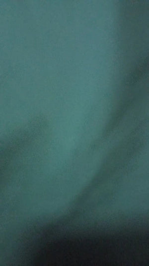A7f9c3d641e954c64a1ee010c22548266L.jpg