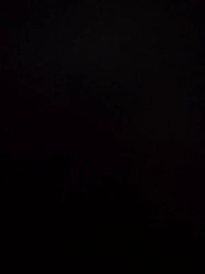 A83e945d146f14e82a0e1ecf1cad53b77Y.jpg